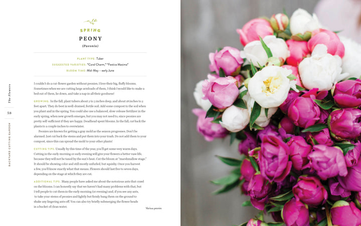 A bouquet of peonies in pink and white rests on a light surface. On the left, text about peonies and their care offers inspiration for small-space gardeners—featuring excerpts from Schiffer Publishing, Ltd.'s Backyard Cutting Garden.
