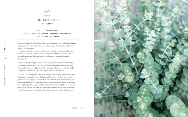 A close-up of a plant, inspired by Schiffer Publishing, Ltd.’s “Backyard Cutting Garden”—perfect for small-space gardeners or anyone dreaming of starting a backyard flower garden.