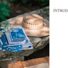 A stack of blueprints with botanical prints sits on a stone bench beside a straw hat and a vase with green leaves and white flowers; "INTRODUCTION" appears on white, echoing Schiffer Publishing, Ltd.'s Botanical Cyanotype guide to botanical art.