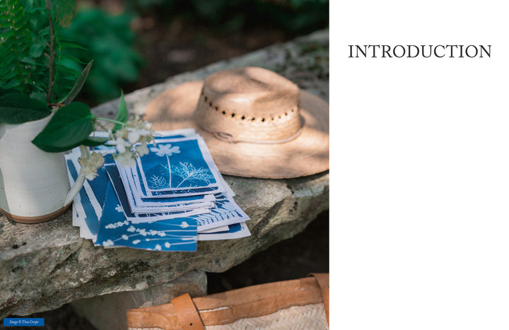 A stack of blueprints with botanical prints sits on a stone bench beside a straw hat and a vase with green leaves and white flowers; "INTRODUCTION" appears on white, echoing Schiffer Publishing, Ltd.'s Botanical Cyanotype guide to botanical art.