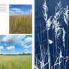 Botanical Cyanotype by Schiffer Publishing, Ltd. features collage art: close-up tall grass, grassy field under blue skies, and a cyanotype print of grasses with white butterflies. A brief poem is displayed in the upper left corner.