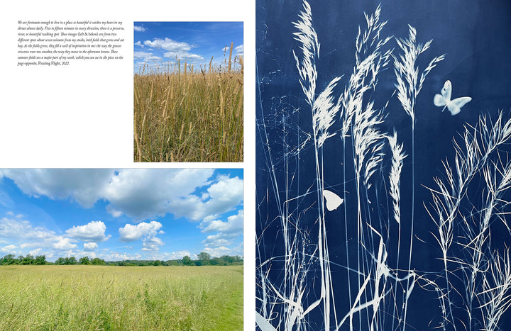 Botanical Cyanotype by Schiffer Publishing, Ltd. features collage art: close-up tall grass, grassy field under blue skies, and a cyanotype print of grasses with white butterflies. A brief poem is displayed in the upper left corner.