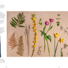 A flat lay displays nine fresh spring flowers with matching dried, pressed specimens on a neutral background. In the left corner is “Botanical Cyanotype” by Schiffer Publishing, Ltd., featuring striking blue botanical art.