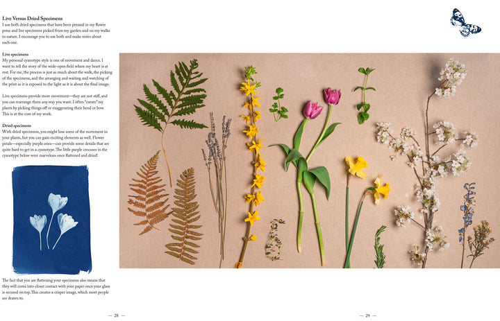 A flat lay displays nine fresh spring flowers with matching dried, pressed specimens on a neutral background. In the left corner is “Botanical Cyanotype” by Schiffer Publishing, Ltd., featuring striking blue botanical art.