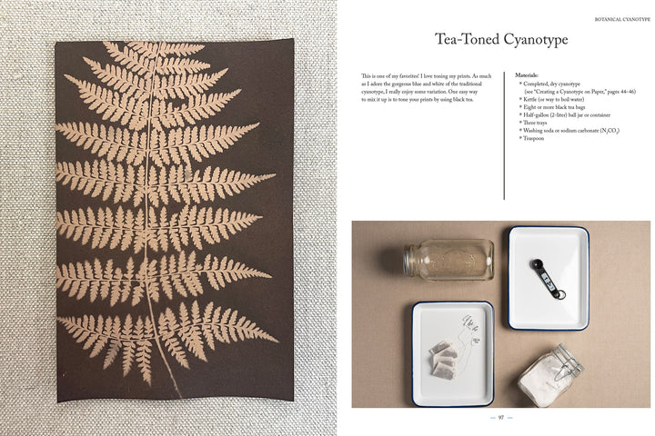 On the left is Schiffer Publishing, Ltd.’s Botanical Cyanotype print of a fern leaf on dark paper; on the right are jars, trays, a brush, tea bags, instructions, and materials for creating tea-toned solar prints.