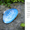 The Botanical Cyanotype by Schiffer Publishing, Ltd. features a blue and white seashell with a fern motif, inspired by botanical art, placed on gray stone amid green leaves. Text appears on the right side of the image.