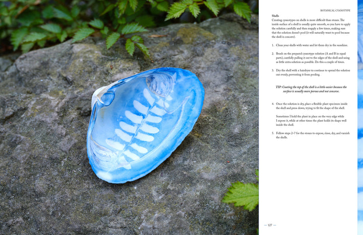 The Botanical Cyanotype by Schiffer Publishing, Ltd. features a blue and white seashell with a fern motif, inspired by botanical art, placed on gray stone amid green leaves. Text appears on the right side of the image.