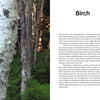 A close-up of a white birch tree trunk with curly, peeling bark in a sunlit forest. On the right, text about "Bark Craft" by Schiffer Publishing, Ltd. appears on a clean white background amid dense green foliage.