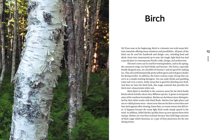 A close-up of a white birch tree trunk with curly, peeling bark in a sunlit forest. On the right, text about "Bark Craft" by Schiffer Publishing, Ltd. appears on a clean white background amid dense green foliage.