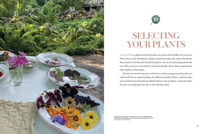 A table set outdoors with plates of vibrant flowers and foliage is surrounded by ferns. Text discusses Schiffer Publishing, Ltd.'s Eco-Print book, which covers plant selection for eco-printing and sustainable textile techniques.