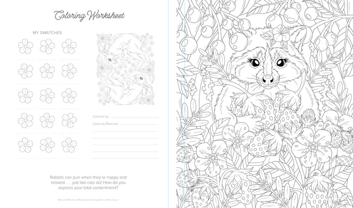 The Wild & Whimsical Woodland Coloring Book by Schiffer Publishing, Ltd. has a black and white worksheet with a raccoon, woodland animals, flowers, berries, color swatches, a rabbit illustration, and space to write who colored it.