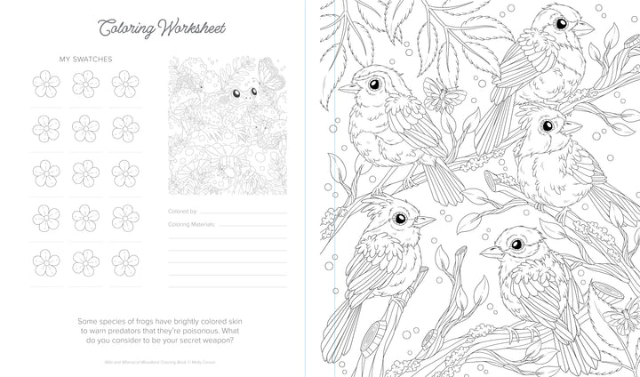 From Schiffer Publishing, Ltd.'s Wild & Whimsical Woodland Coloring Book: a printable worksheet featuring five birds on leafy branches, spaces for swatches and materials, plus a “secret weapons” animal prompt—perfect for forest-themed coloring fun.