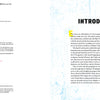 Two-page spread of Punk and New Wave Record Ads by Schiffer Publishing, Ltd. Left page shows copyright and publishing info in black and red; right page, styled like promo art, has a textured blue background with bold INTRODUCTION and body text.