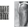 Black and white photo from "Tahiti Tattoos" by Schiffer Publishing, Ltd. shows ancient wooden tribal figurines beside a person's upper thigh adorned with bold Tahitian tattoos—a striking tribute to tattoo history.