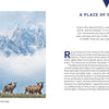 A herd of elk grazes before snowy peaks under a cloudy sky in Grand Teton National Park—an iconic scene captured in this photography book from Schiffer Publishing, Ltd.