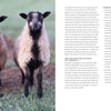 Two black-and-white lambs with curly wool stand on grass, facing the camera. On the right, text highlights Schiffer Publishing, Ltd.'s "Needle Felting Through the Seasons" with project guides and breed details.
