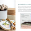 An open copy of "Needle Felting Through the Seasons" by Schiffer Publishing, Ltd. shows a succulent tutorial; felt wool, embroidery floss, and tools are on one side, with step-by-step instructions and an illustration on the other.