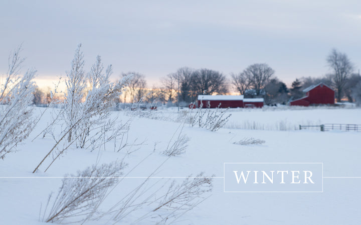 A snow-covered field with dried plants, red barns, and bare trees at sunset inspires needle felting. "WINTER" appears in white text. From Needle Felting Through the Seasons by Schiffer Publishing, Ltd.