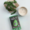 Crochet Your Veggies Amigurumi Kit Avocado