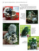 A magazine page showcases close-ups of colorful minerals from "Jewels of the Early Earth" by Schiffer Publishing, Ltd., featuring greenstone belts and pegmatites on grass or in hand, with text about Afghan pegmatites.
