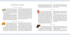 Crystal Rhythms by Schiffer Publishing, Ltd. is a guide with columned text grouping crystals by color—clear/white, yellow/orange, pink, and red—exploring their healing roles and chakras; no images are included.