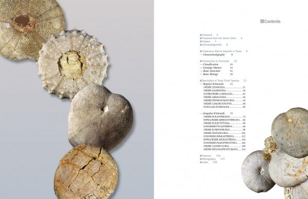 Collector's Guide to Texas Cretaceous Echinoids Contents