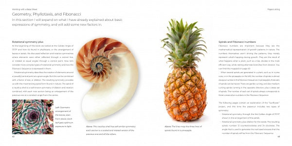A book spread from "Papercutting" by Schiffer Publishing, Ltd. presents text on geometry and Fibonacci, with images of a spiral seashell and pineapple to illustrate natural spiral patterns and mathematical symmetry in art.