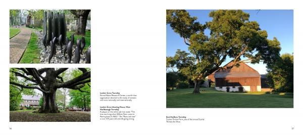 A book spread from "Chester County" by Schiffer Publishing, Ltd. features three photos: a polished sculpture in wooded shade and a wide tree on the left page; on the right, an old tree beside a red-and-white barn in Chester County, Pennsylvania.