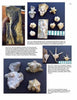 A page from Paleozoic Fossils by Schiffer Publishing, Ltd. displays photos of fossilized crinoids and echinoderms with labeled specimens, a ruler for scale, and descriptive captions to help fossil hunters identify ancient finds.