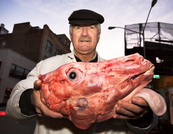 A man stands at dusk in New York City’s Meatpacking District, holding a large raw animal head, as seen on the cover of "Blood and Beauty" from Schiffer Publishing, Ltd.