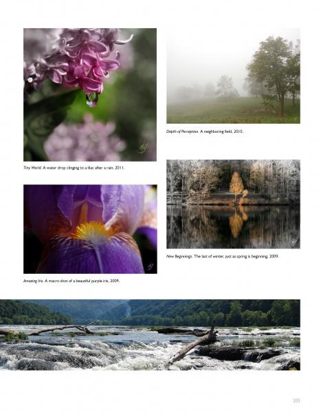 A collage of five nature photos with captions—lilac, iris, foggy field, golden tree mirrored in water, and rocky river—shows pop surrealism influences, reminiscent of the contemporary art in Schiffer Publishing’s 100 Southern Artists.
