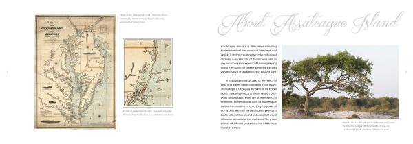 A two-page spread in "Natural Wonders of Assateague Island" by Schiffer Publishing, Ltd. shows old maps of Chincoteague and Assateague on the left and a tree photo with text about Assateague’s wild horses and wildlife photography.