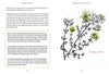 A spread in The Healthy Witch by Schiffer Publishing, Ltd. shows magikal healing text on the left page and a St. Johns Wort illustration—with white flowers, green accents, and handwritten plant name—on the right in this holistic witchy workbook.