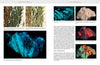 A spread from "Collectors' Guide to the Amphibole Group" by Schiffer Publishing, Ltd. features close-up crystal images—some glowing under UV—and columns explaining amphibole minerals and luminescence for collectors.
