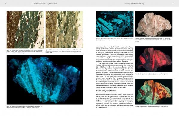 A spread from "Collectors' Guide to the Amphibole Group" by Schiffer Publishing, Ltd. features close-up crystal images—some glowing under UV—and columns explaining amphibole minerals and luminescence for collectors.