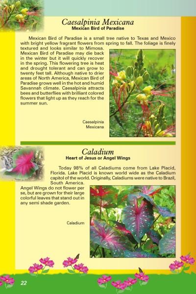 A page from "Savannah's Garden Plants" by Schiffer Publishing, Ltd. showcases Savannah flowers, including Caesalpinia Mexicana with yellow blooms and Caladium with heart-shaped, colorful leaves, detailed against a green and yellow background.