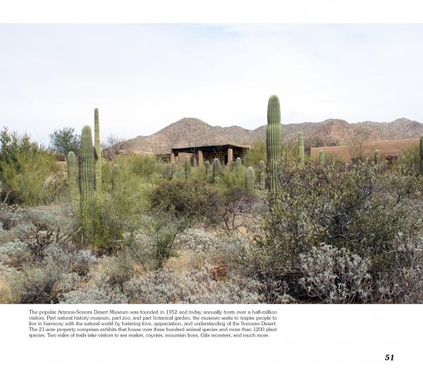 Tucson Perspectives by Schiffer Publishing, Ltd. showcases a desert landscape with tall saguaro cacti, scattered shrubs, a rustic building, and mountains beneath an overcast sky at the Arizona-Sonora Desert Museum in Tucson, Arizona.