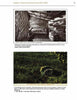 A black-and-white photo of a log cabin interior and a color photo of Ann Rutledge’s grave, featured in Schiffer Publishing, Ltd.'s "Abraham Lincoln," reveal connections to American history.