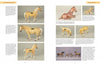 Two pages from Schiffer Publishing, Ltd.’s catalog showcase More Hagen-Renaker Pottery collectible figurines. Each page features photos of detailed model horses in various poses, with descriptive text and item details next to each image.