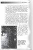 A page from "Haunted Bordentown, New Jersey" by Schiffer Publishing, Ltd. features stories of children’s laughter and ghosts in a mysterious house, plus a snowy rose garden photo with a caption; “Page 43” is shown at the top.
