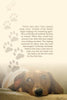 A brown dachshund rests on a soft surface, gazing upward as faded paw prints ascend beside touching pet visitation stories from "Tails of the Afterlife" by Schiffer Publishing, Ltd., sharing one family's journey after losing their dog, Sauci.