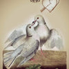 Two pigeons affectionately touch beaks on a branch beneath the number 15, a pierced heart, and an arrow—an iconic Kipper oracle card image from The Art of Kipper Reading by Schiffer Publishing, Ltd. Below, a banner reads “Success in Love.”.