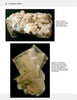 Top: Explore colorless to pale brown diopside clusters on matrix and greenish diopside crystals in "Collector's Guide to the Pyroxene Group" by Schiffer Publishing, Ltd.—an essential for every mineral collector.