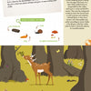 The Forest by Schiffer Publishing, Ltd. features an illustrated forest scene with deer grazing, mushrooms, and insects. Text explains food chains and highlights the deer as a woodland animal—ideal for a book or giant fold-out poster.