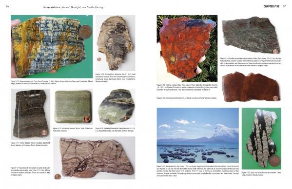 A page from Stromatolites by Schiffer Publishing, Ltd. features color photos of diverse rock samples, including fossilized stromatolites shown with a coin for scale and a landscape image of a mountain and rocky shore beneath partly cloudy skies.