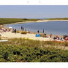 People relax and sunbathe on a sandy lakeside beach with calm blue water and greenery—an inviting scene, perfect for Nantucket photography or as a memory in your Nantucket book by Schiffer Publishing, Ltd.