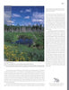 Capture the beauty of Sunkhaze Meadows National Wildlife Refuge—a lush wetland with yellow wildflowers and a winding boardwalk—featured in New England's Natural Wonders by Schiffer Publishing, Ltd., ideal for nature lovers and photographers.