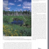 Capture the beauty of Sunkhaze Meadows National Wildlife Refuge—a lush wetland with yellow wildflowers and a winding boardwalk—featured in New England's Natural Wonders by Schiffer Publishing, Ltd., ideal for nature lovers and photographers.