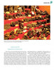 Photo of Galena mineral specimens on red display with info cards, featured in "Mineral Treasures of the Ozarks" by Schiffer Publishing, Ltd., illustrating Galena’s electronic uses and importance among Ozarks minerals.