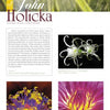 A magazine page highlights "Flowers in Art" by Schiffer Publishing, Ltd., featuring two vivid macro floral photos and a short bio on artist John Holicka’s passion for capturing nature’s intricate beauty.